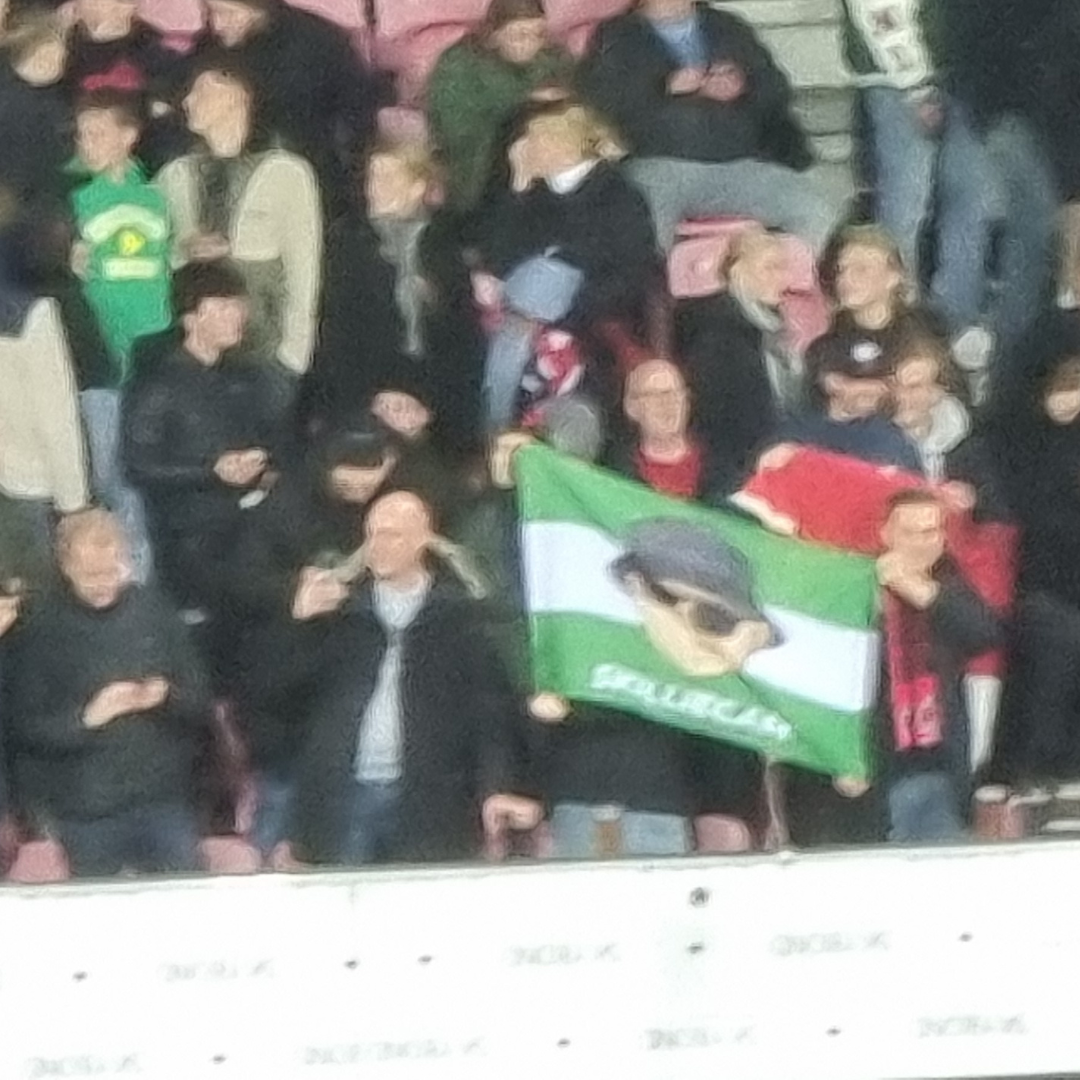 Skilliecam Rotterdam Vlag (Groen-Wit) | Skilliecam